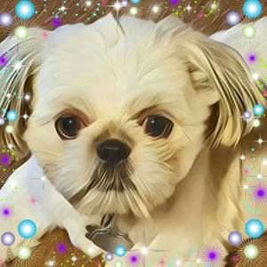 Meet your Posher, Cheryl